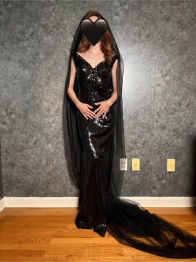 Sparkly Black V-Neck Wedding Gown with Cowl Back, Small Train & Veil - Size 2